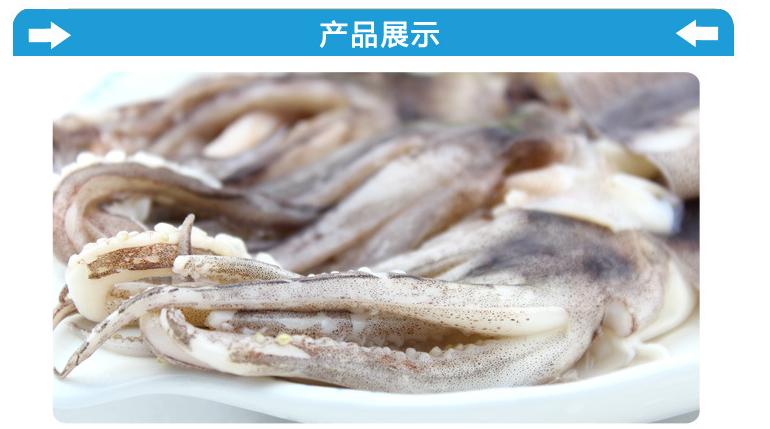 水產魷魚 冷凍粗加工水產品
