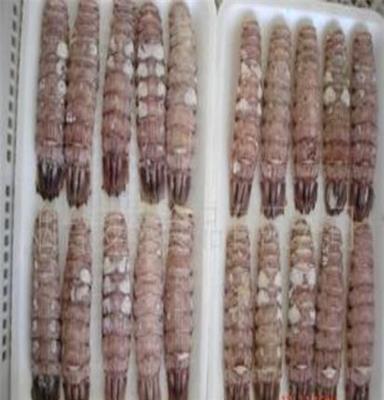 蝦姑肉,爬蝦肉,冷凍粗加工水產品