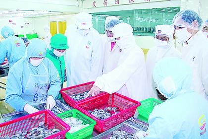 金融危機背景下中國水產品出口現狀及對策研究