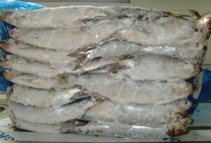 【粗加工水產(chǎn)品】_吉林長(zhǎng)春市粗加工水產(chǎn)品價(jià)格_粗加工水產(chǎn)品批發(fā)_吉林長(zhǎng)春市粗加工水產(chǎn)品供應(yīng)商-搜了網(wǎng)