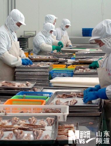 山東成最大水產加工基地精深加工高于60組圖