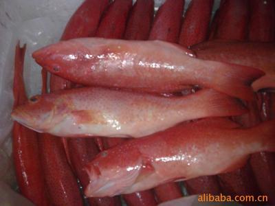 冷凍水產品粗加工,北極貝肉,刺身,北極貝,冷凍水產品圖片,冷凍水產品粗加工,北極貝肉,刺身,北極貝,冷凍水產品圖片大全,煙臺市福山區響水河大櫻桃專業合作社-3-