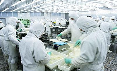 水產品加工 - 京魯漁業|冷凍調理水產品