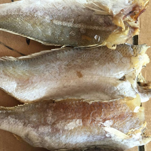 【山東小黃魚】山東小黃魚價格/圖片_山東小黃魚批發/采購_山東小黃魚廠家/供應商