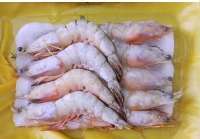冷凍粗加工水產品_冷凍粗加工水產品價格_冷凍粗加工水產品廠家 - 就到中國網庫冷凍粗加工水產品頻道