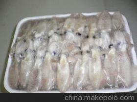 【魷魚】價格,廠家,圖片,冷凍粗加工水產品,秦皇島洪嘉食品-