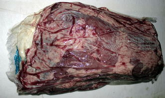 批發(fā)有機(jī)精選冷凍牛肉