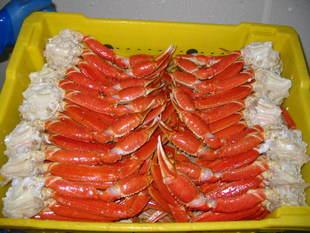 冷凍粗加工水產品-加拿大雪蟹腿-冷凍粗加工水產品盡在阿里巴巴-青島