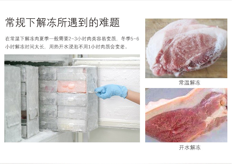 低溫高濕解凍機 羊酮體牛肉緩化間 海鮮解凍 緩化時間短