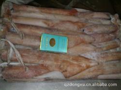 冷凍粗加工水產品-廠家生產供應 供應批發 印尼魷魚2# 水產品_商務聯盟