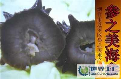 天津渤海莊信食品_世界工廠網全球企業庫