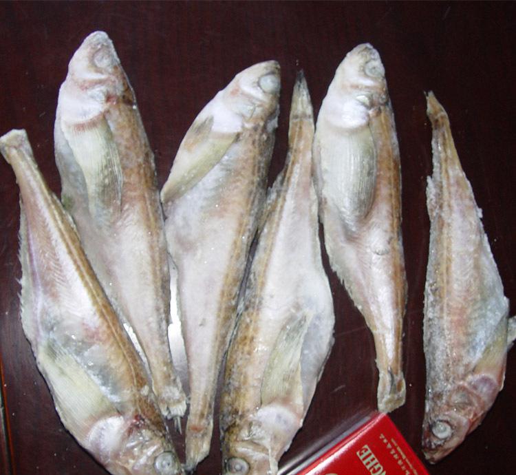 魚類海產品冷凍粗加工水產品雷魚帶籽魚特色水產海鮮禮包
