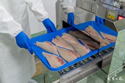 開辟“預制菜”市場 大黃魚游向“新賽道”