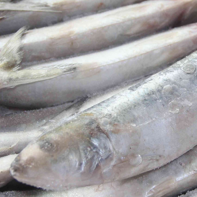 【供應(yīng)批發(fā)冷凍水產(chǎn)品加工 冷凍冰凍生鮮海產(chǎn)品 飼料魚】價格,廠家,圖片,動物性飼料原料,石獅市萬恒水產(chǎn)經(jīng)營部-