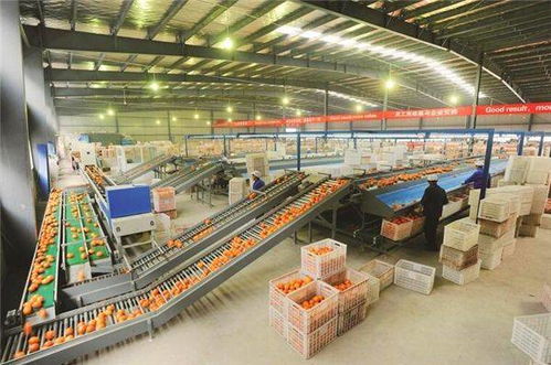 農(nóng)產(chǎn)品深加工風口到來,天然植物萃取技術(shù)大戰(zhàn)已經(jīng)開始