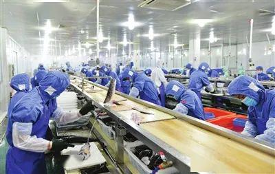 中山水產品加工出口企業 線上帶貨減庫存 研發新品拓內銷