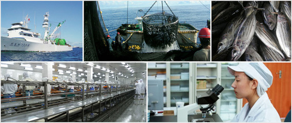 (壞品)南美大洋世家精選冷凍鮮蝦仁 200g