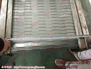 大滾珠鏈條穿軸網鏈 山東網鏈 螺旋鋼絲網鏈廠家