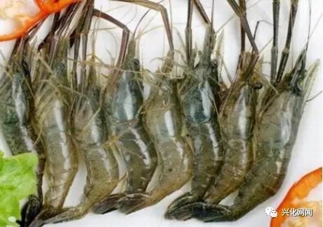 老家興化 記得它們嗎