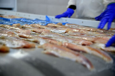 東北振興看吉林:五大理念引領發展 進退之間見功夫