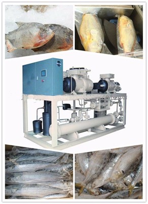江西鴻宇制冷HYSD2000水產品速凍機金槍魚速凍水產品速凍機圖片_高清圖_細節圖