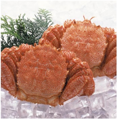 冰鮮水產(chǎn)·冷凍水產(chǎn)