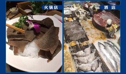 500公斤片冰機(jī)