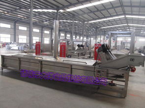 菠菜漂燙流水線,連續(xù)式蔬菜殺青機