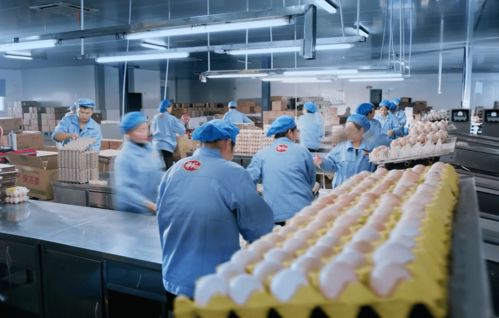 安陸兌現(xiàn)企業(yè)科技獎勵525萬元