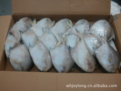 冷凍粗加工水產(chǎn)品-供應(yīng)大量出口品質(zhì)/鯧魚-冷凍粗加工水產(chǎn)品盡在阿里巴巴-威海市久.