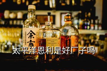 青島狀元郎國際酒業怎么樣,青島啤酒在國際上真實評價如何