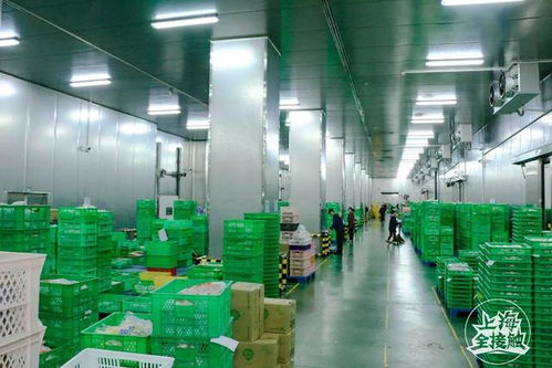 揭秘上海最大的肉包加工廠,畫面簡直驚呆了