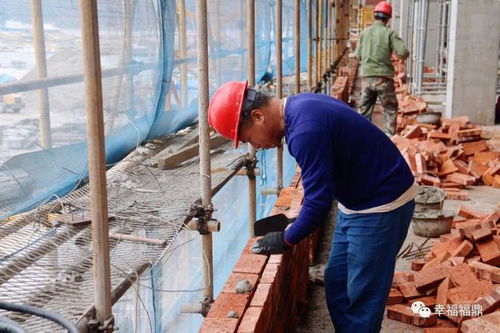 預計7月底竣工 沙埕港冷鏈物流項目 一期