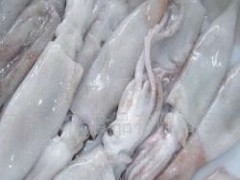 供應冷凍魷魚 帶魚 秋刀魚 - 冷凍粗加工水產品 - 粗加工水產品 - 食品、飲料 - 供應 - 切它網(QieTa.com)