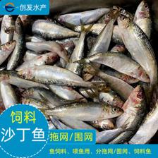 沙丁魚飼料速凍水產品喂魚用魚飼料拖網魚圍網魚冷凍海鮮凍魚加工
