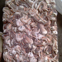 魷魚須_冷凍粗加工水產品_魷魚須批發_魷魚須供應_阿里巴巴