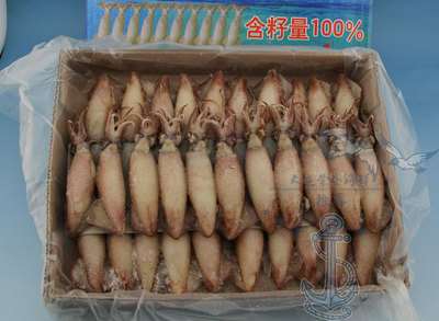 冷凍粗加工水產品-【榮盛海鮮】大連特級滿籽烏賊 海兔子 大籽烏 墨魚 墨斗魚-冷.