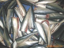 冷凍鮐魚_冷凍粗加工水產品_冷凍鮐魚批發_冷凍鮐魚供應_阿里巴巴