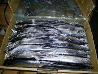 粗加工水產品_粗加工水產品價格_粗加工水產品廠家 - 就到中國網庫粗加工水產品頻道