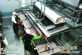 開漁后福建石獅水產品加工企業一片繁忙 圖