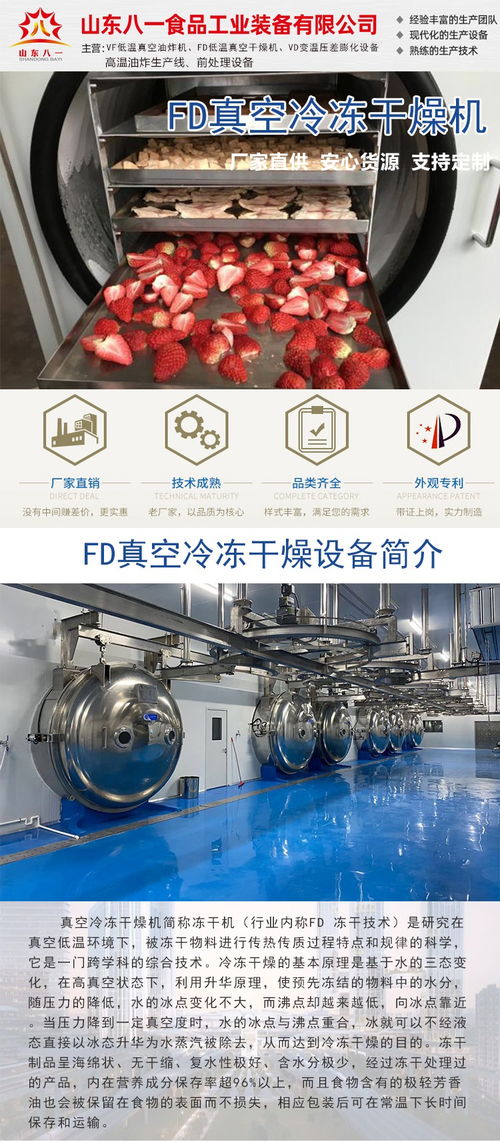全自動真空冷凍干燥機大型沙棘凍干機