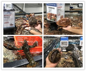 保利牽手盒馬 保利中環廣場引入新零售呈現新升級