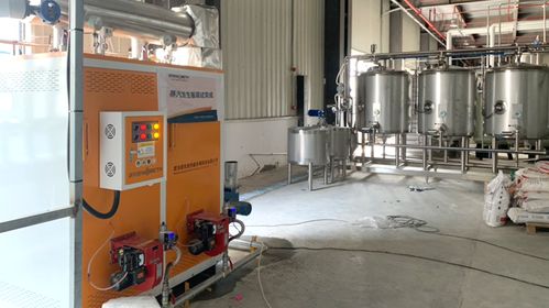 什么是蒸汽烹飪技術 燃氣蒸汽發生器用于食品加工,均勻加熱營養不流失