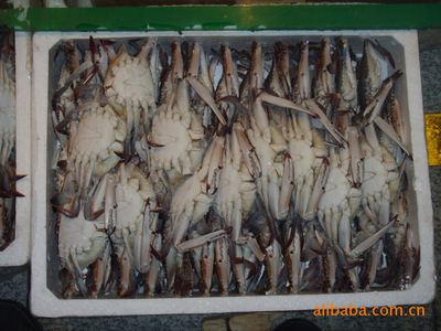 冷凍粗加工水產品-優質供應 漁婆婆野生梭子蟹-冷凍粗加工水產品盡在阿里巴巴-.