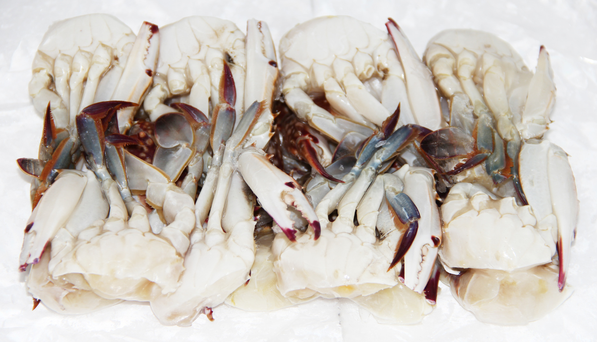 切蟹L/批發冷凍粗加工水產品梭子蟹冷凍海產海鮮螃蟹 蟹