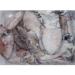 冷凍粗加工水產品