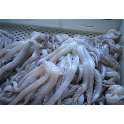 冷凍粗加工水產品