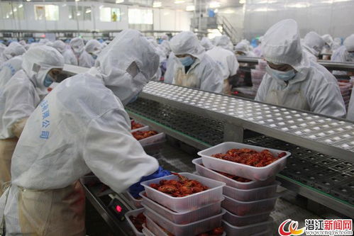 柳伍水產 加工技術創新 引領企業發展