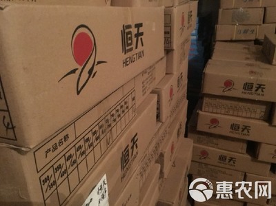 冷凍鱸魚 速鮮白蕉海鱸冰凍花鱸真鱸海鱸工廠原產地發貨