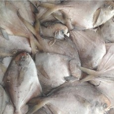 山東鑫發漁業集團